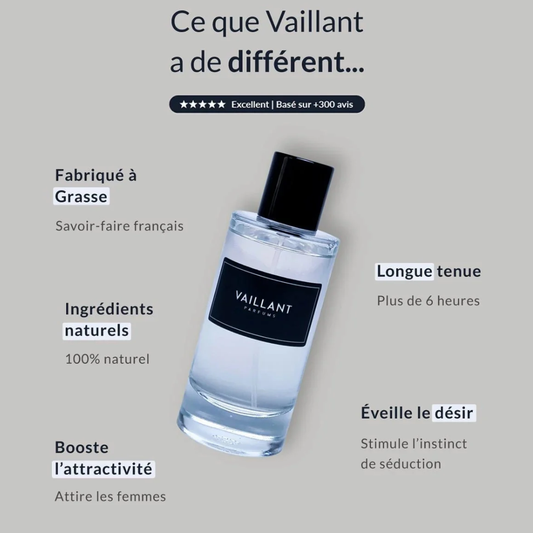 Vaillant – Eau de Parfum 50 ml | Parfum Oriental Boisé pour Homme